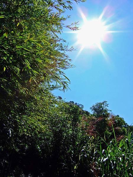DSCF6787.JPG