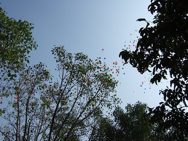DSCF4775.JPG
