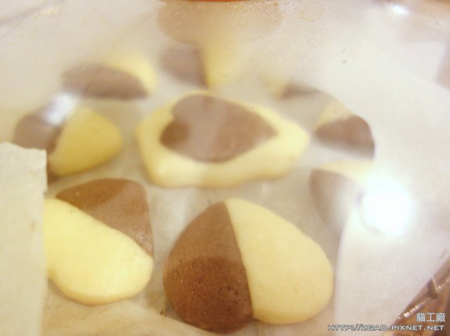 DSC06608.JPG