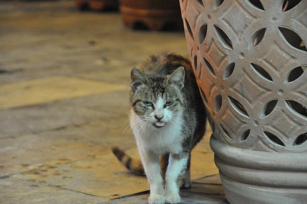 DSC_3206.JPG