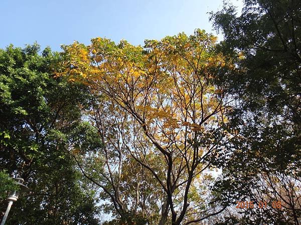 DSC09439