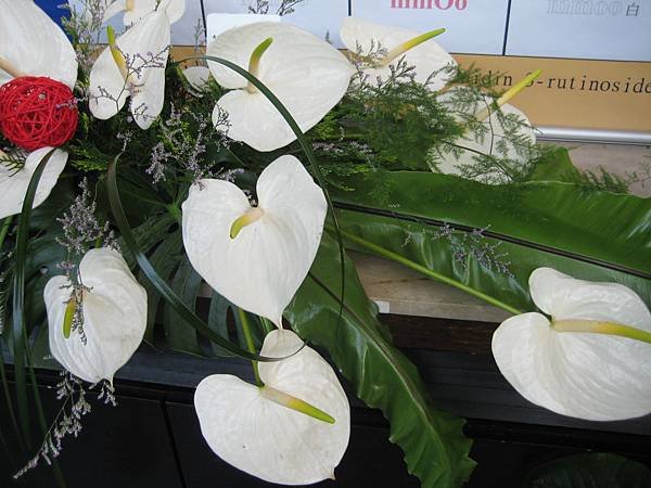 IMG_9791.JPG