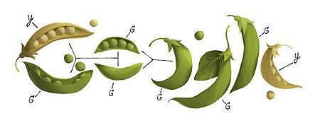 google doodle 孟德爾（Gregor Johann Mendel）