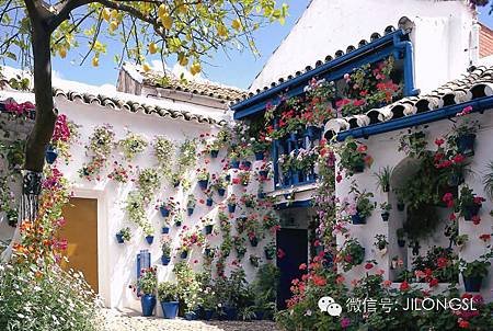 哥爾多華的庭園節（Festival de los Patios de Córdoba）