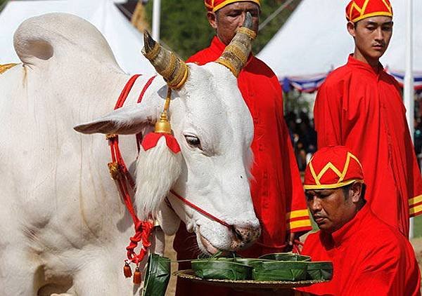 泰國皇家耕種大典暨農民節(Royal Ploughing Ceremony and farmers day)