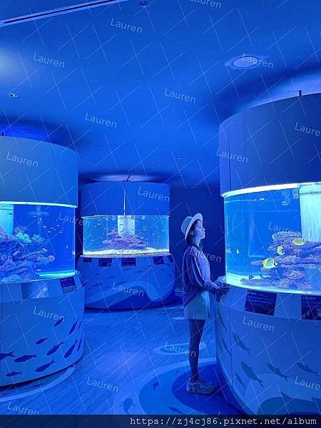 LINE_ALBUM_220611_13.jpg