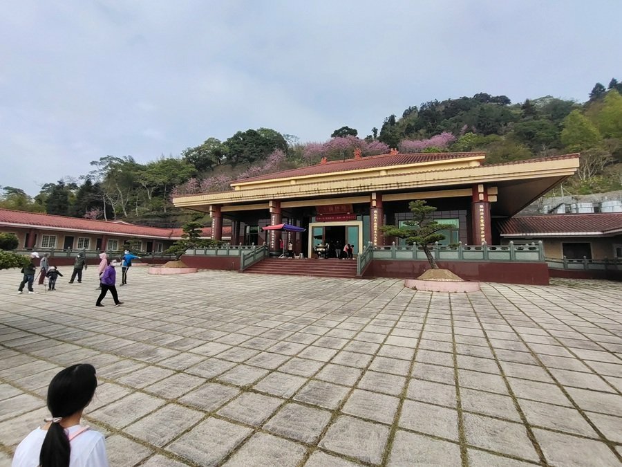 嘉義阿里山彌陀禪寺賞櫻與參拜三寶佛