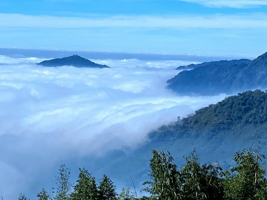 阿里山雲景露營區-夕陽雲海宛若仙境美景,阿里山林深深森呼吸.