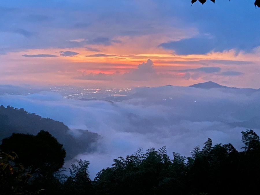 阿里山雲景露營區-夕陽雲海宛若仙境美景,阿里山林深深森呼吸.