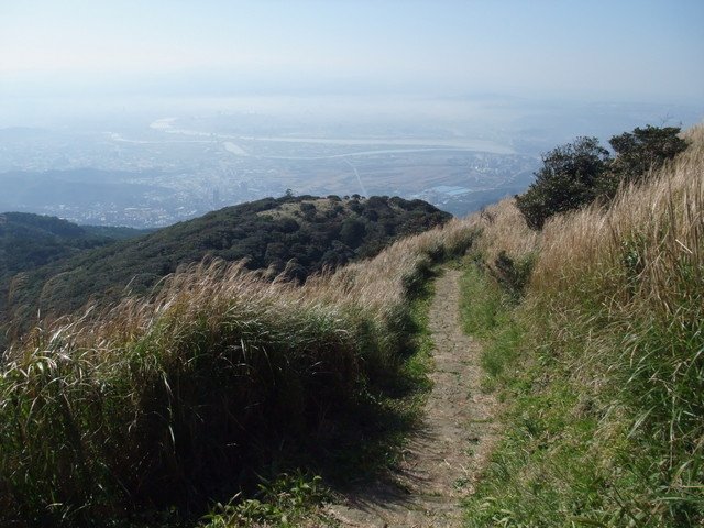 向天山、面天湖、二字坪 (72).JPG