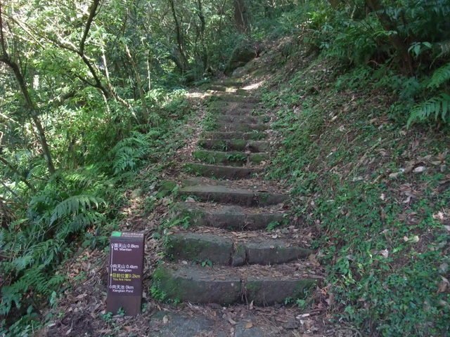 向天山、面天湖、二字坪 (137).JPG