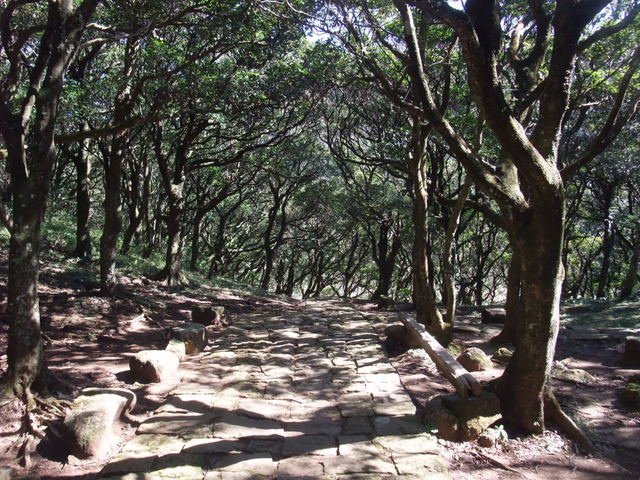 向天山、面天湖、二字坪 (155).JPG