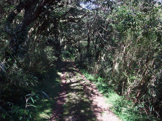 向天山、面天湖、二字坪 (236).JPG