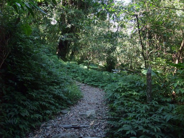 松羅國家步道 (203).JPG