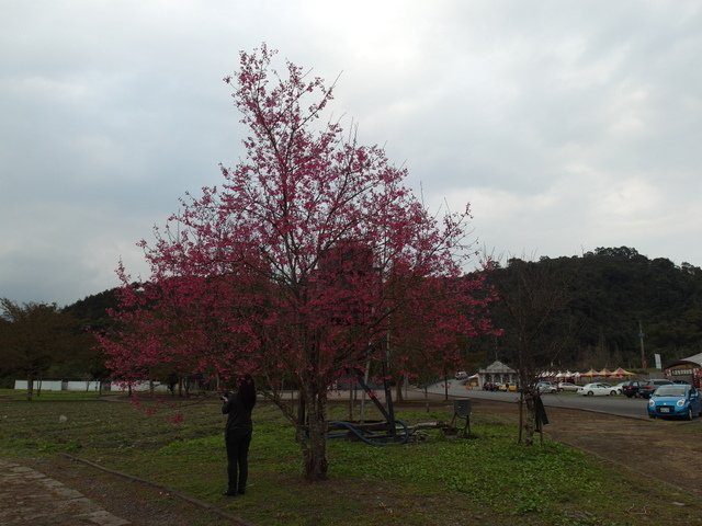 長埤湖 (22).JPG