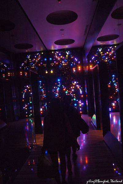 P2090887.JPG