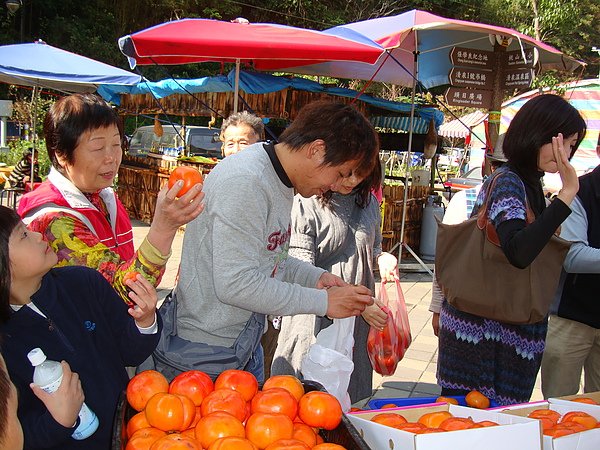 DSC08521.JPG