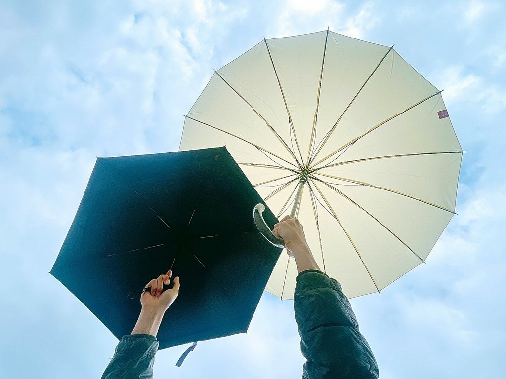 雨傘王BigRed自動直傘/自動折傘推薦༺防風/抗雨/抗UV