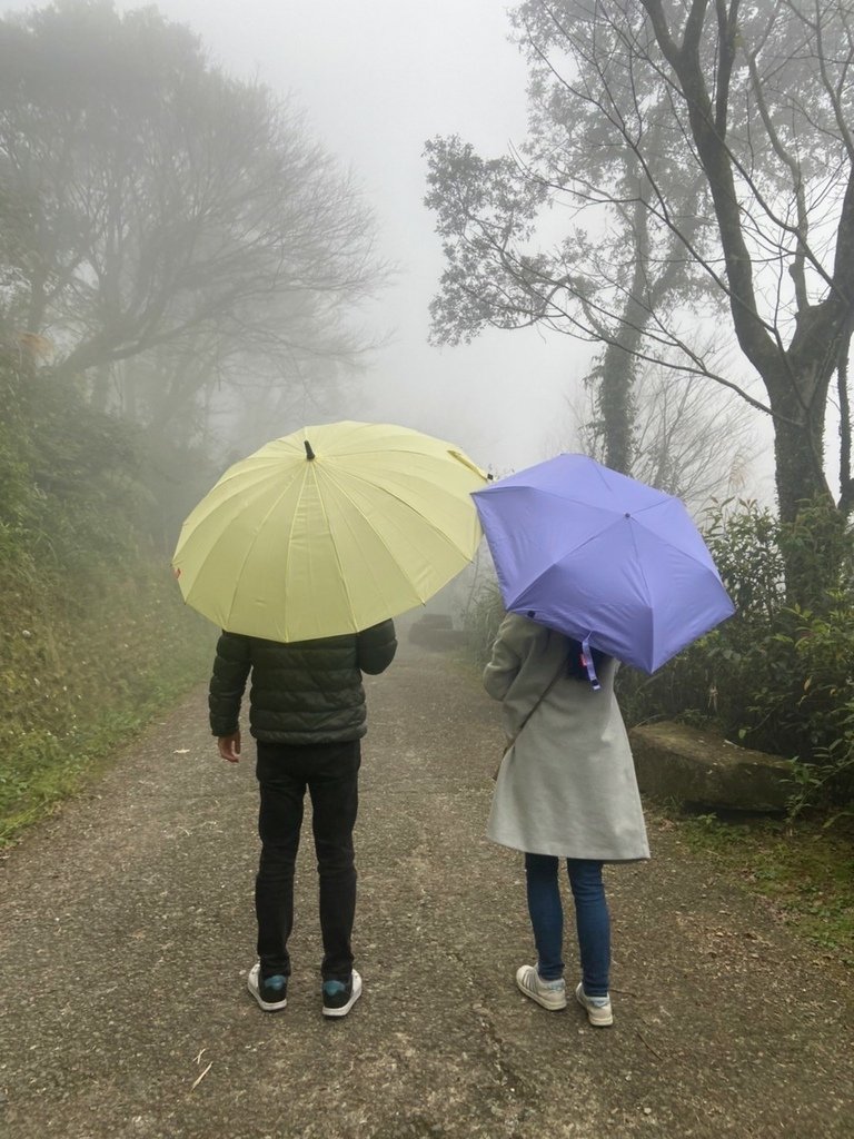 雨傘王BigRed自動直傘/自動折傘推薦༺防風/抗雨/抗UV