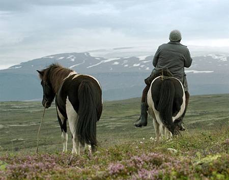 Of-Horses-and-Men.jpg