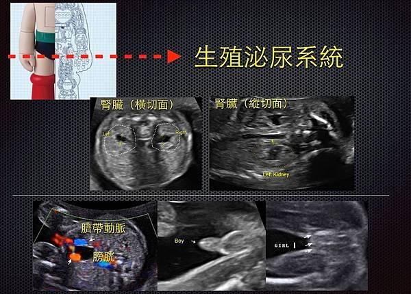 螢幕截圖 2015-04-24 09.33.51