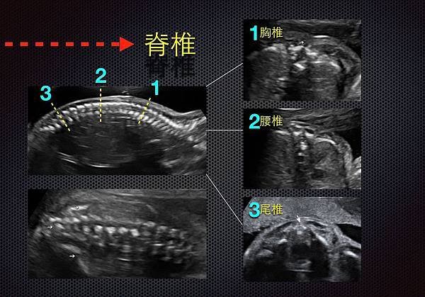 螢幕截圖 2015-04-24 09.34.31