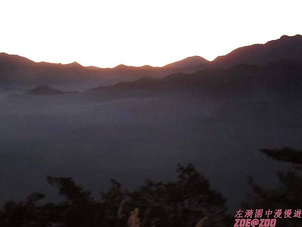 【嘉義】阿里山日出‧櫻花 60.jpg