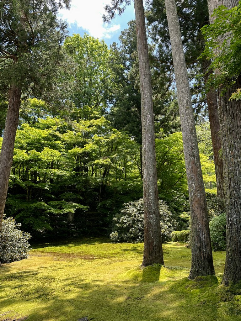 ｜2024 春末京都大阪行｜DAY 3-5 里湯昔話 雄山莊