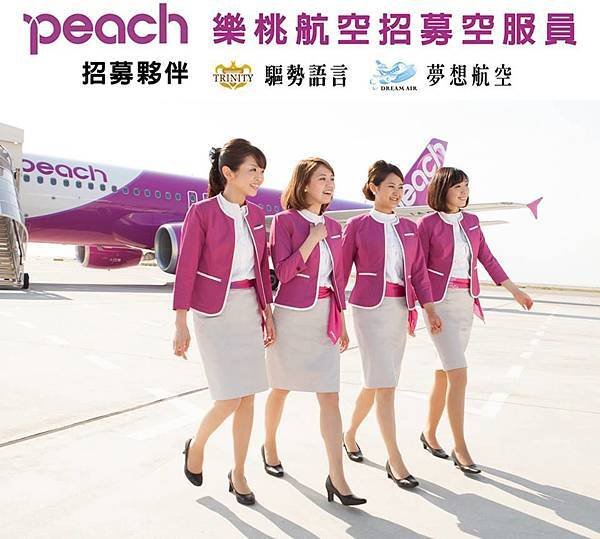 2016 peach樂桃航空台籍空服員招募