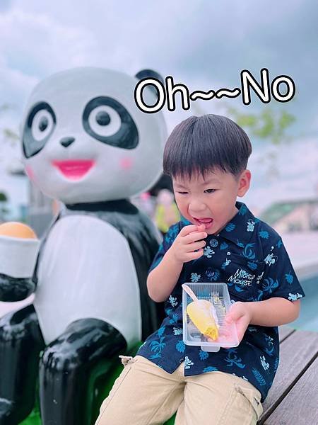 LINE_ALBUM_新加坡馬來西亞_250109_26.jpg