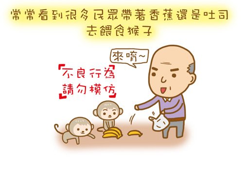猴子2.jpg