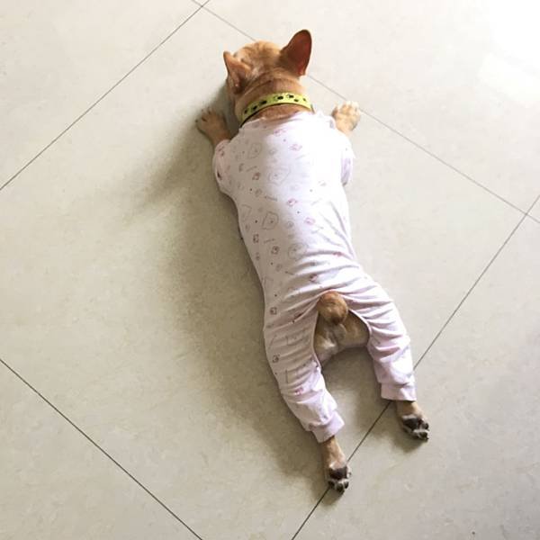 Image uploaded from iOS (19).jpg