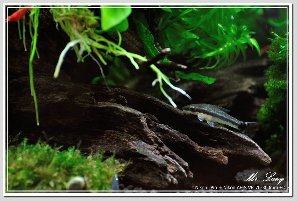 hTCNewOne_0708_56_zps2d961be7.jpg