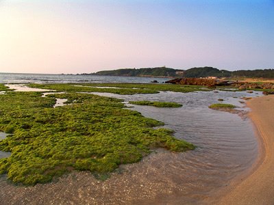 z2007516204556.jpg