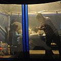 DSC_4654.JPG