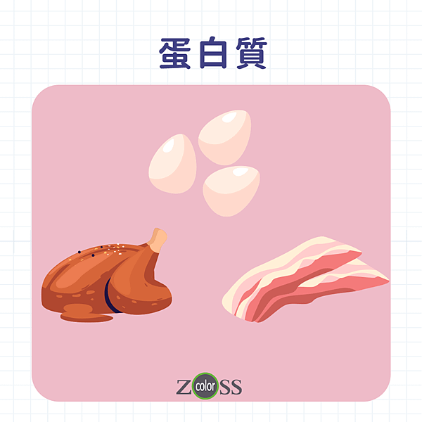 蛋白質.png
