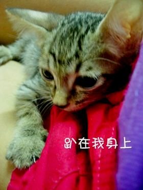 DSCN6979.JPG