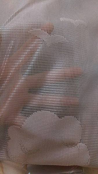 20122_1581469272128647_5622380034935342464_n