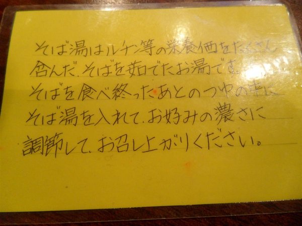 20091201東京.日光自助行