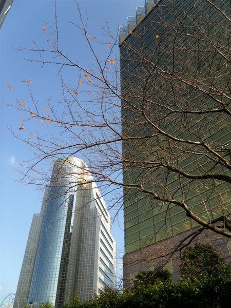 20091201東京.日光自助行