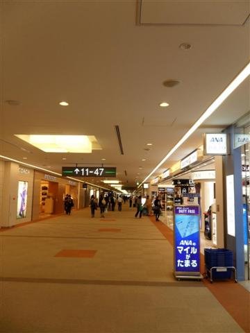 20091201東京.日光自助行
