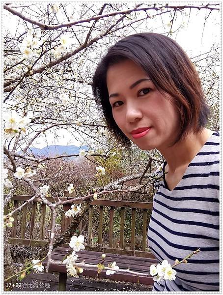 WuTa_2019-01-20_11-14-03.jpg