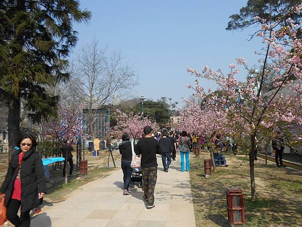 DSCN2582.JPG
