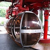 IMG_9223.JPG