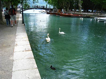 IMG_9473.JPG