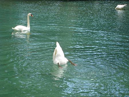 IMG_9476.JPG