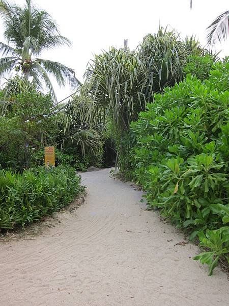 新加坡旅行2 231.JPG