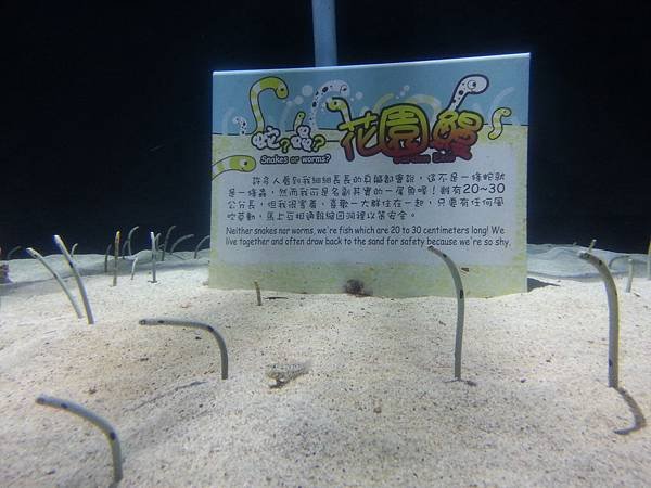 墾丁 250