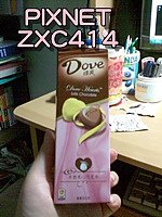 20100425-02.jpg