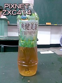 20100526-05.jpg